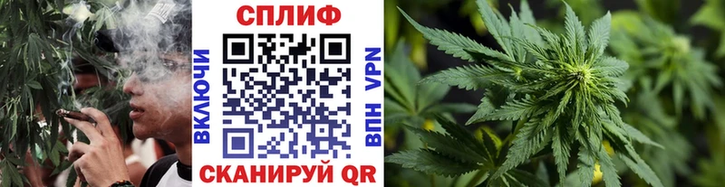 Где найти наркотики Стрежевой Псилоцибиновые грибы  Меф  hydra ссылки  ГАШ  NBOMe  АМФ  МАРИХУАНА  Alpha-PVP 