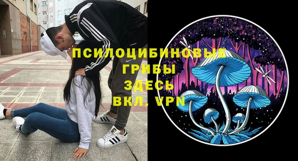 гидра Армянск