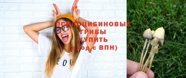 ешки Аркадак