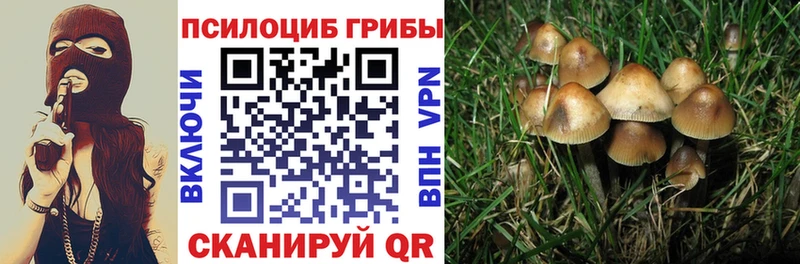 KRAKEN рабочий сайт  Стрежевой  Псилоцибиновые грибы Psilocybe 